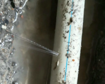 东河卫生间测漏水多少钱