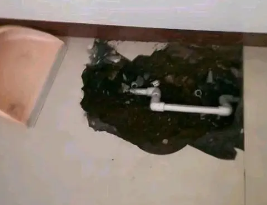 东河卫生间测漏水多少钱